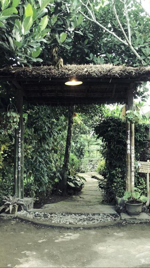 Tiara Homestay Plambi Exterior foto